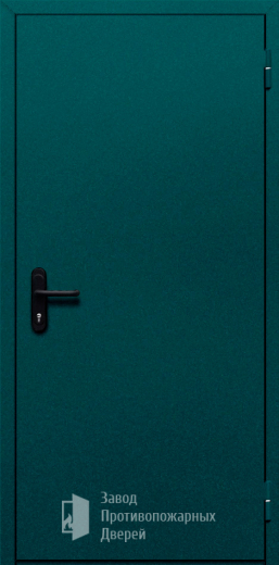 Фото двери «Однопольная глухая №16» в Павловскому Посаду