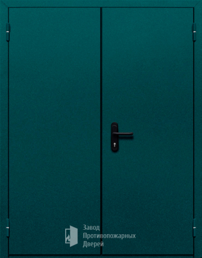 Фото двери «Двупольная глухая №36» в Павловскому Посаду